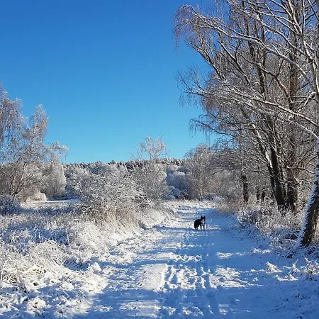 Kuestenkind * Lauterbach (Rugen)