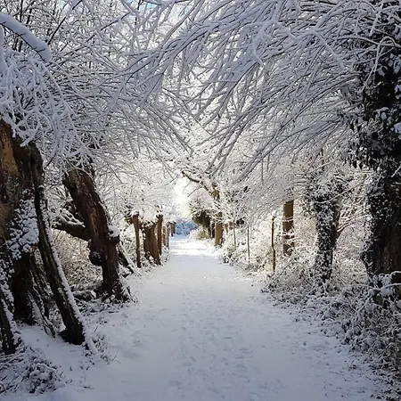 Apartamento Kuestenkind *